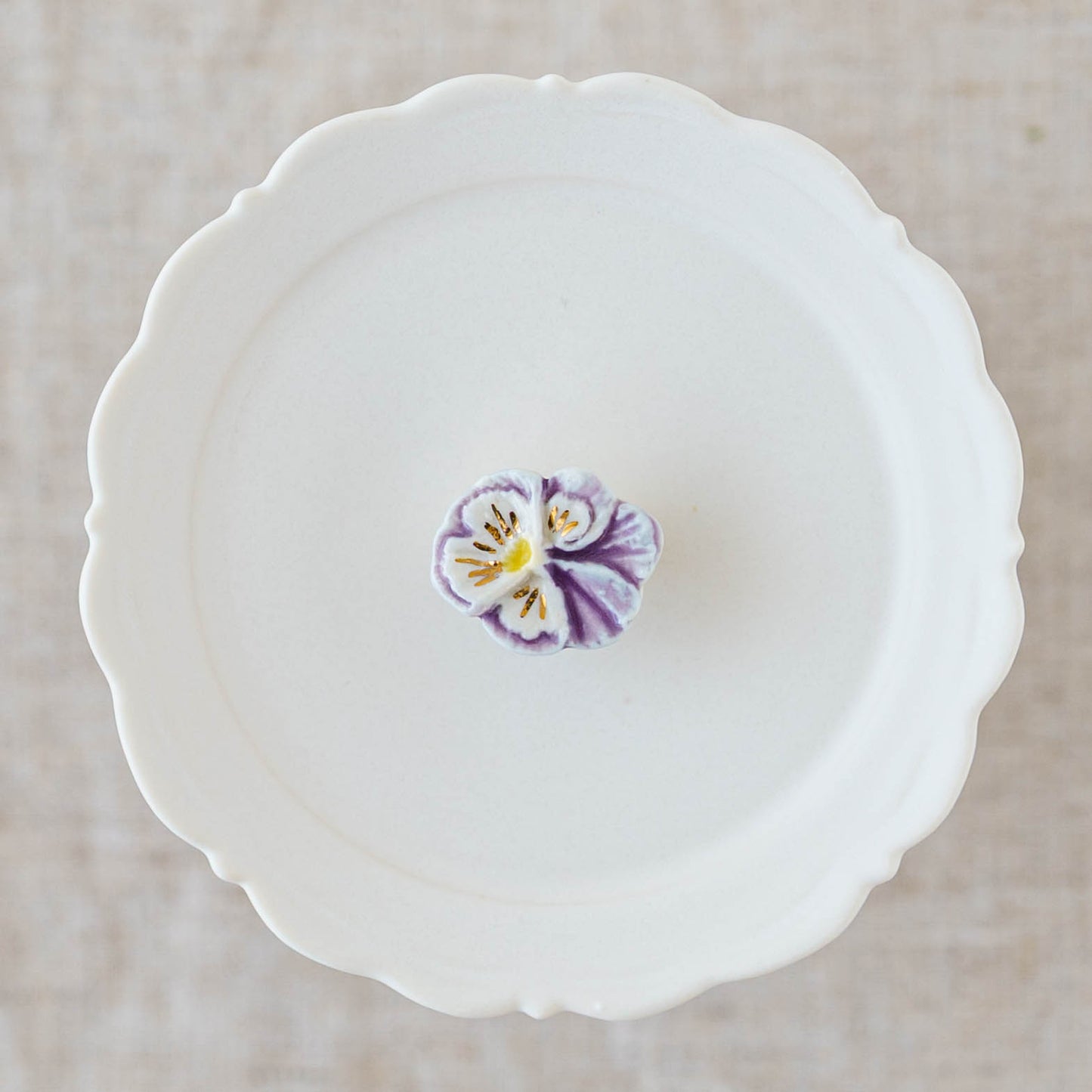 Pansy Purple | Minami Nonomura