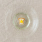 Embroidered brooch Buttered Toast｜Aonoie