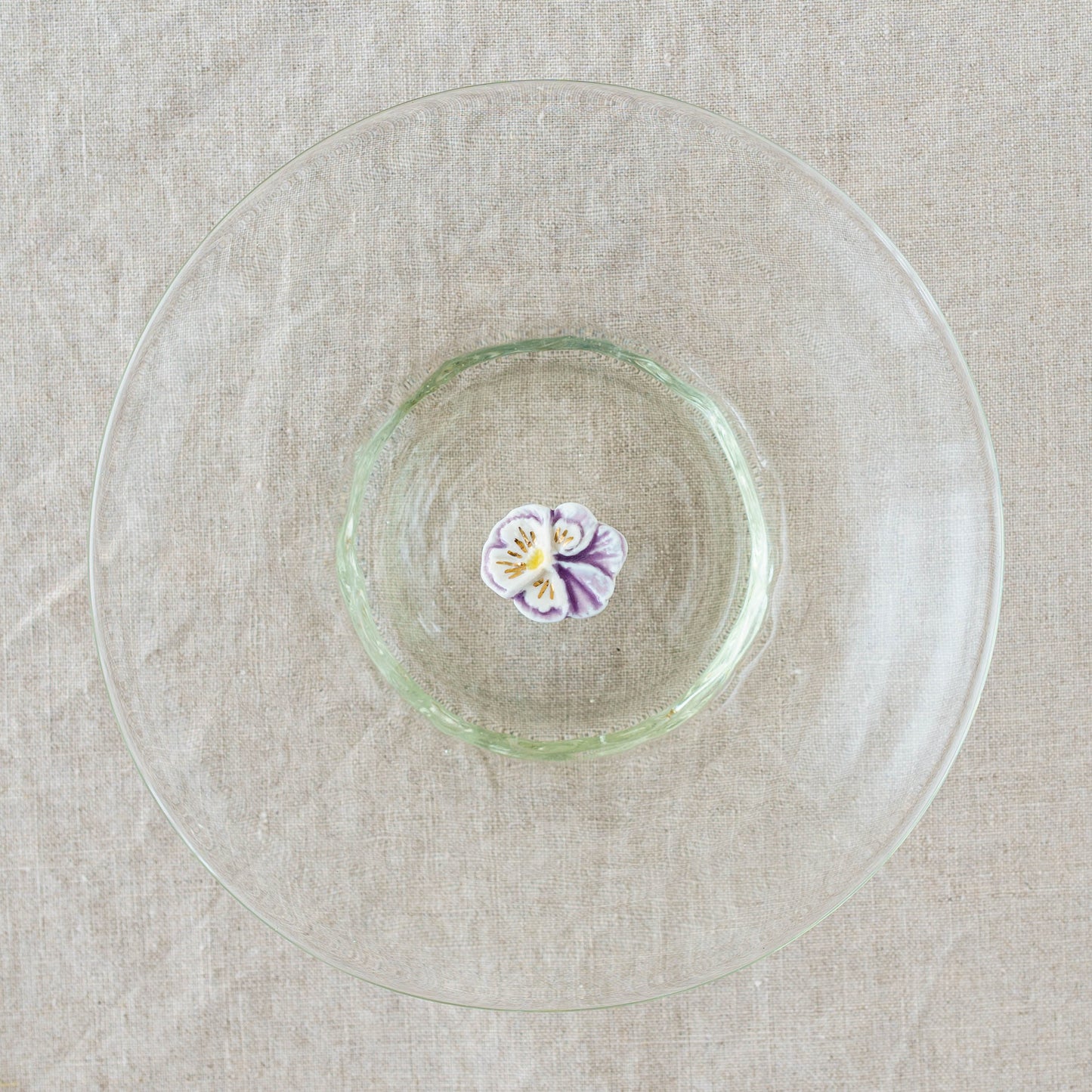 Pansy Purple | Minami Nonomura