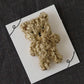 Embroidered Brooch Bear | Aonoie