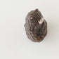 Bear Dried Flower Stand Brown  | Mikiko Kato