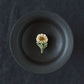 Daisy | Minami Nonomura