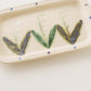 Flower Plate White B | Yukiko Nagahama (Yabukarabou)