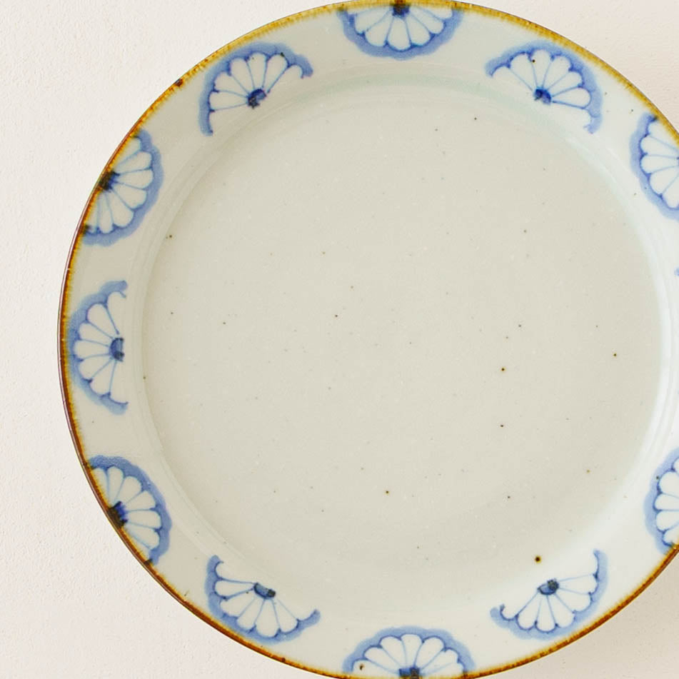 21cm rimmed plate chrysanthemum| Satsukigama
