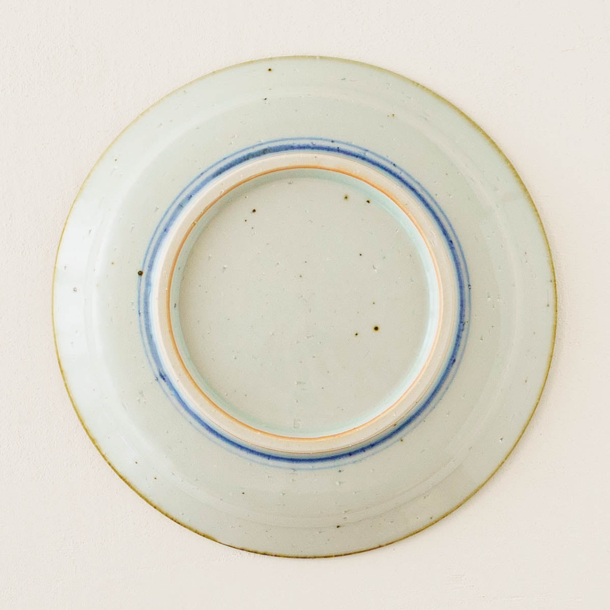 21cm rimmed plate chrysanthemum| Satsukigama