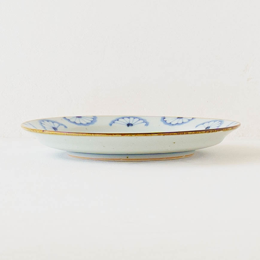 21cm rimmed plate chrysanthemum| Satsukigama