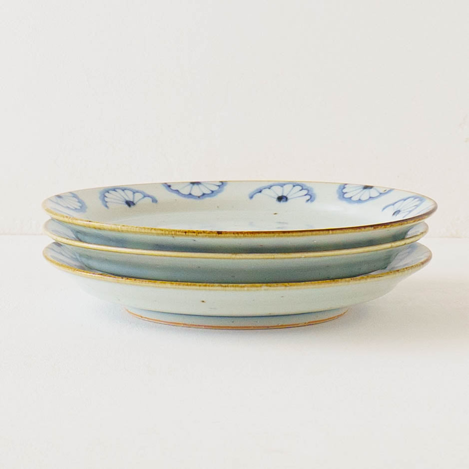 21cm rimmed plate chrysanthemum| Satsukigama