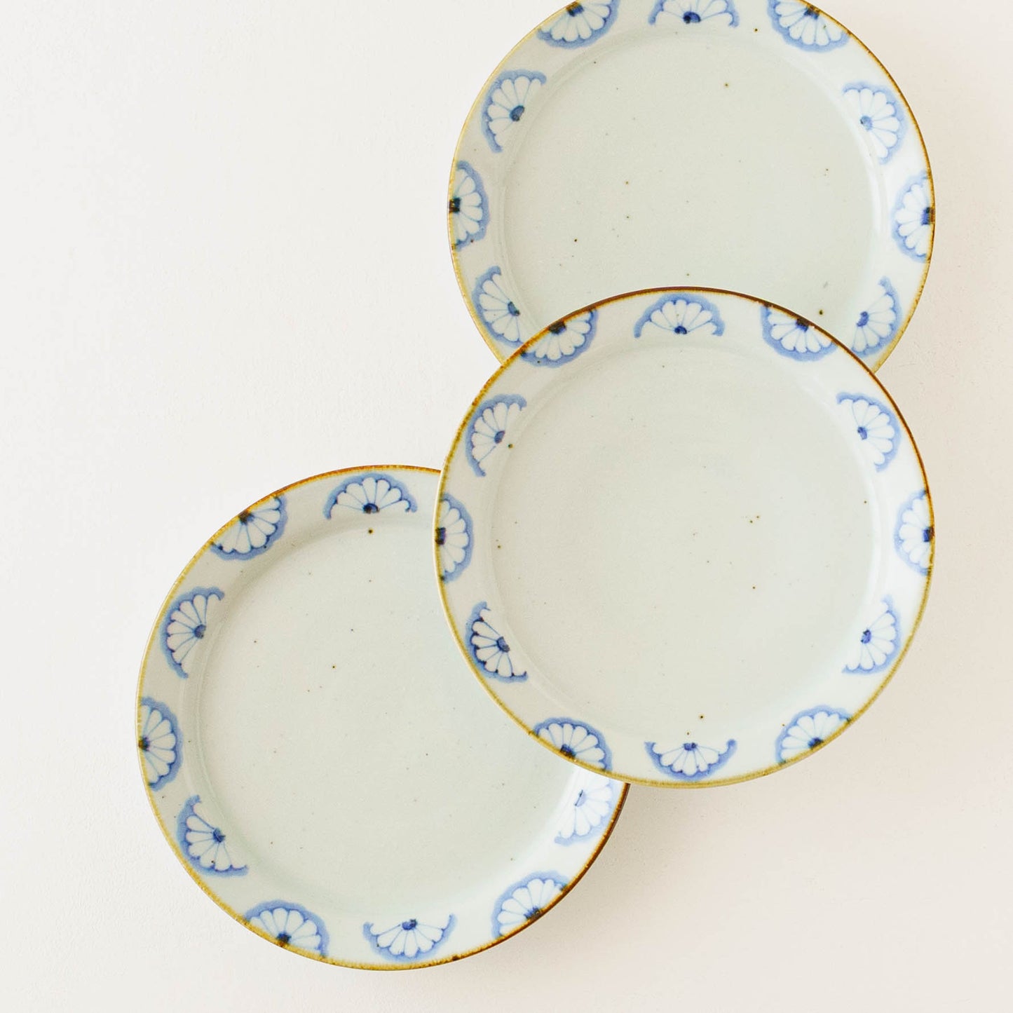 21cm rimmed plate chrysanthemum| Satsukigama