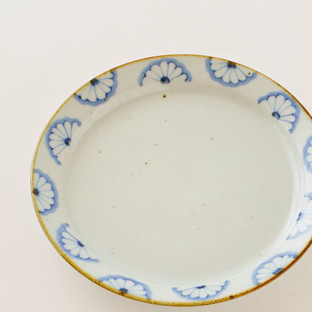 21cm rimmed plate chrysanthemum| Satsukigama