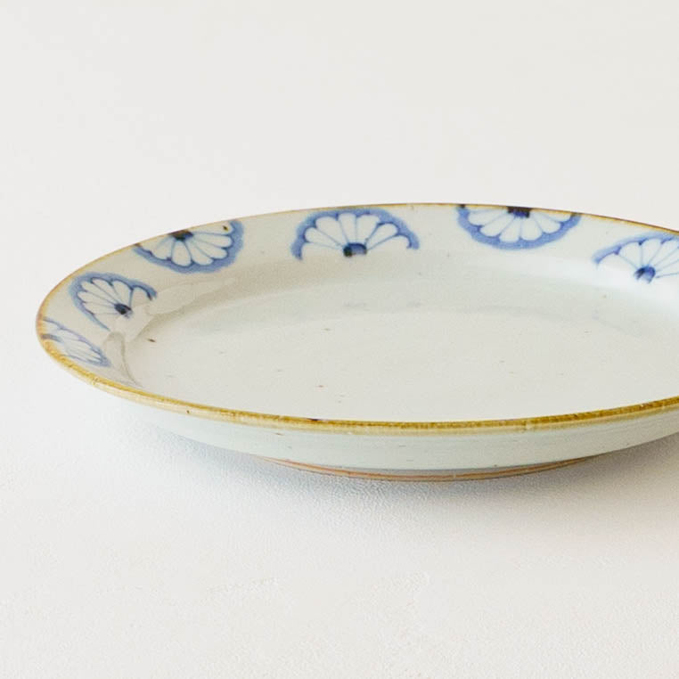 21cm rimmed plate chrysanthemum| Satsukigama