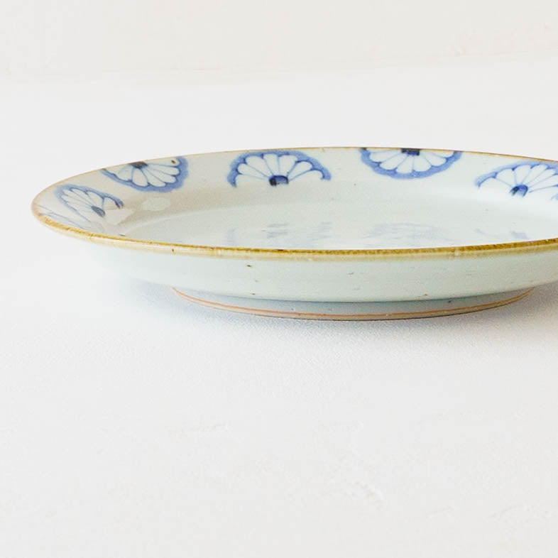 21cm rimmed plate chrysanthemum| Satsukigama