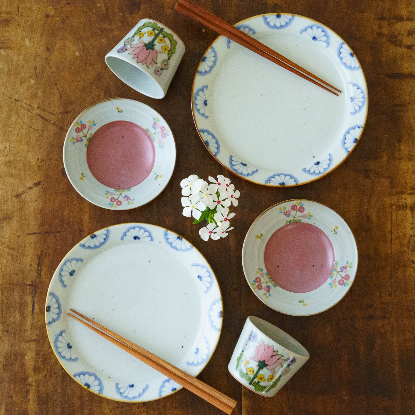 21cm rimmed plate chrysanthemum| Satsukigama