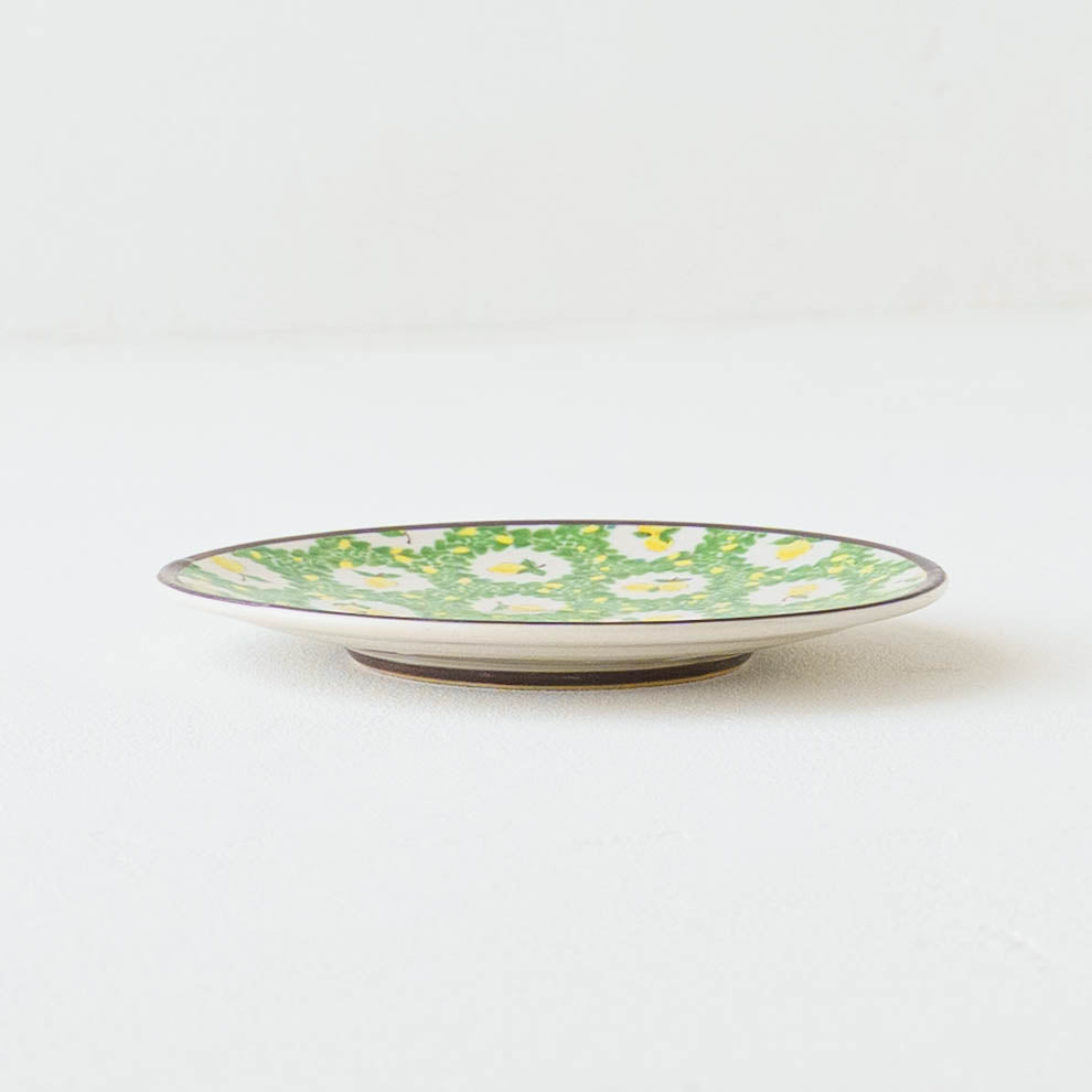 C&S Lemon Liberty | Shintaro Abe 
