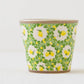 Cup Lemon Liberty | Shintaro Abe