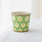 Cup Lemon Liberty | Shintaro Abe