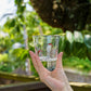 Fruit Glass - Cherry | Gokurakuji Glass Studio
