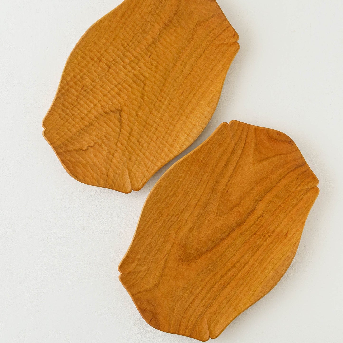 Kikkou plate L Cherry | Tomoharu Funahashi