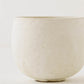 Cup｜Hideo Tsujinaka
