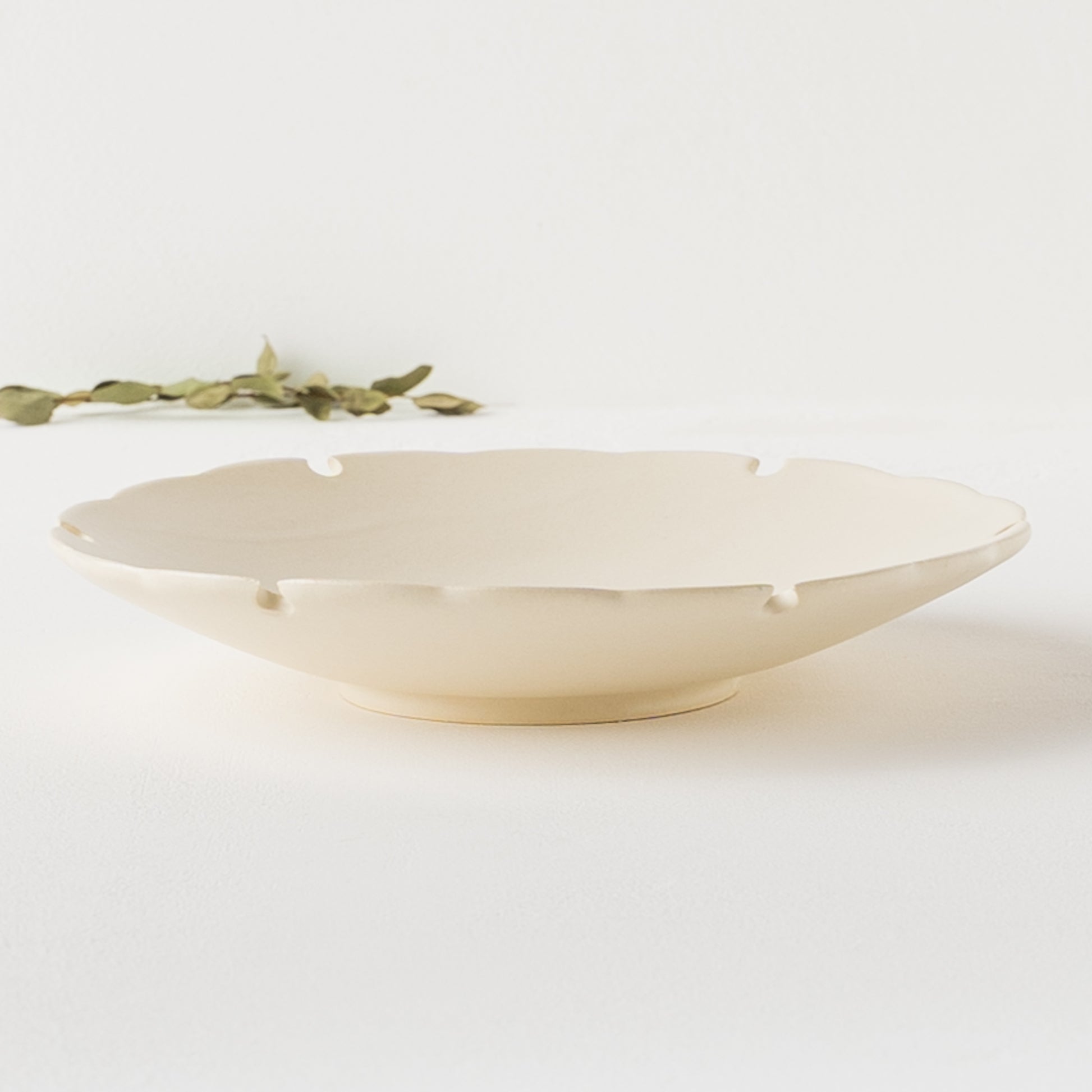 盛り付けお料理がぐっと上品になるyoshida potteryの雪輪皿