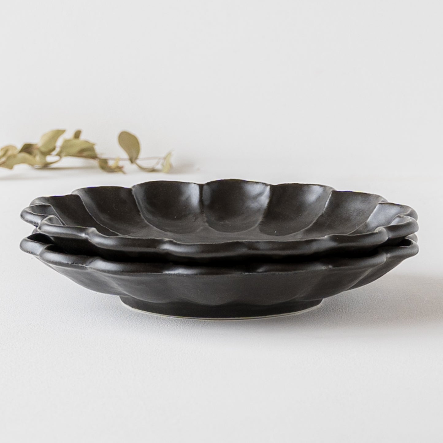 Black Rinka 21 plates｜ Kaneko Kohyo