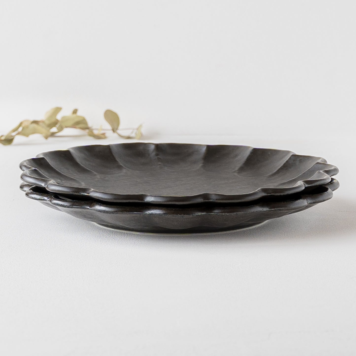 Black Rinka 24 plates｜ Kaneko Kohyo