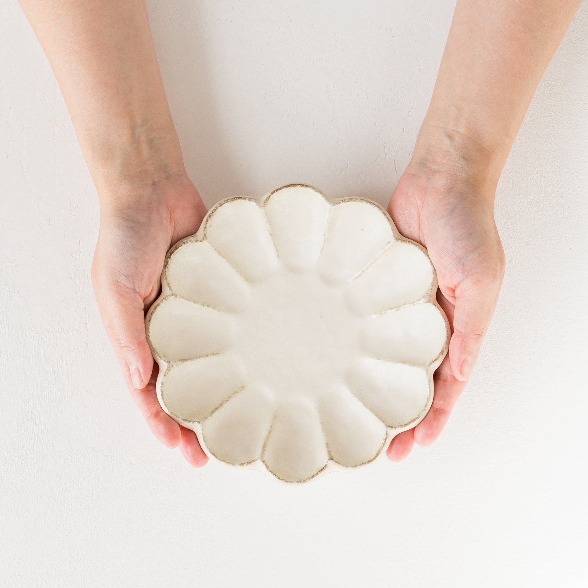 食卓がパッと明るくなる美濃焼の輪花皿