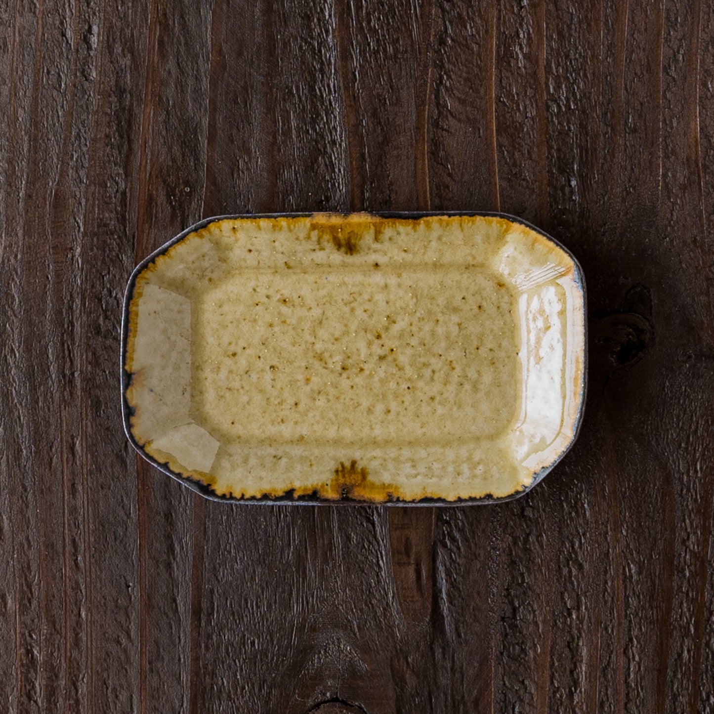 ツキゾエハルさんの皮鯨角豆皿コハク