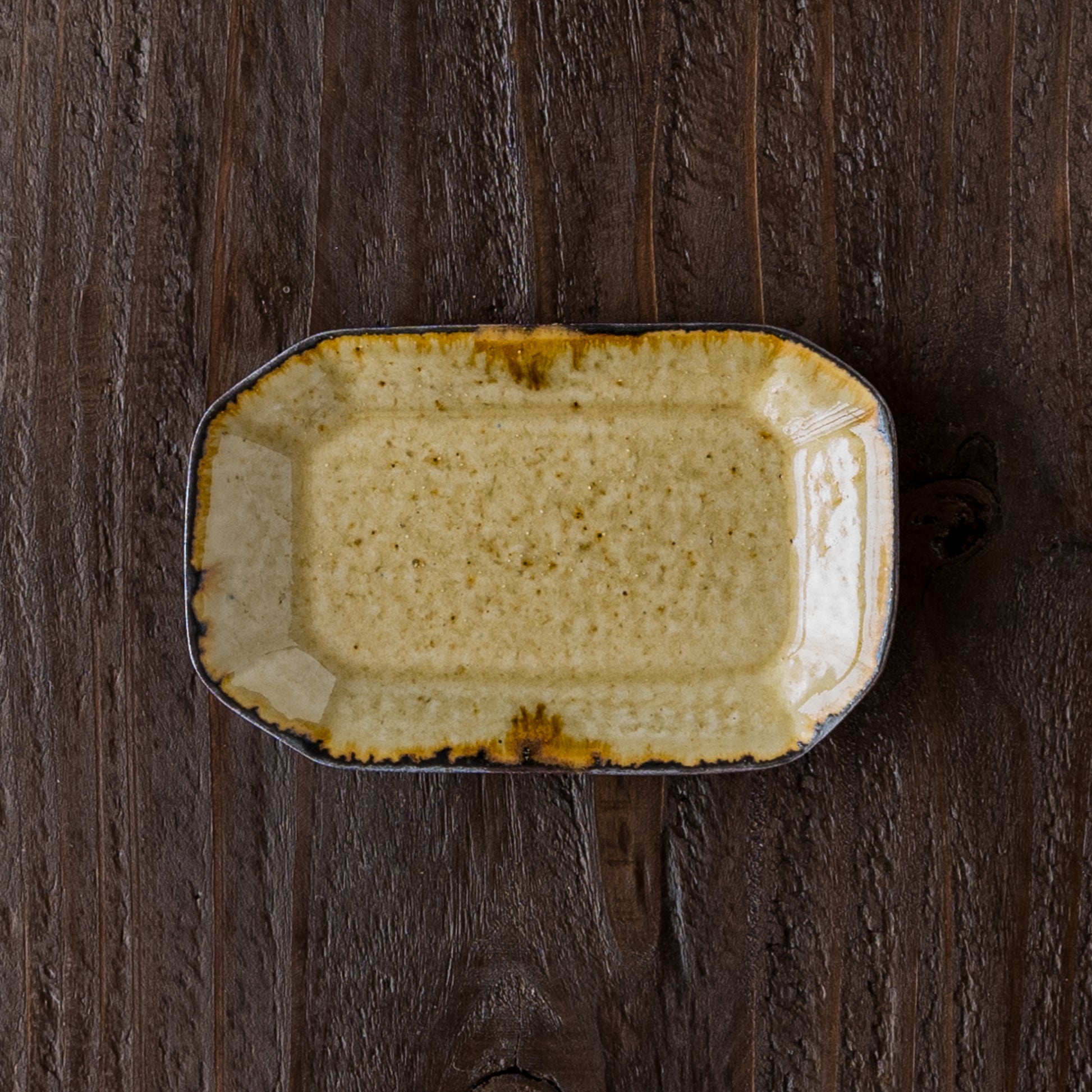 ツキゾエハルさんの皮鯨角豆皿コハク