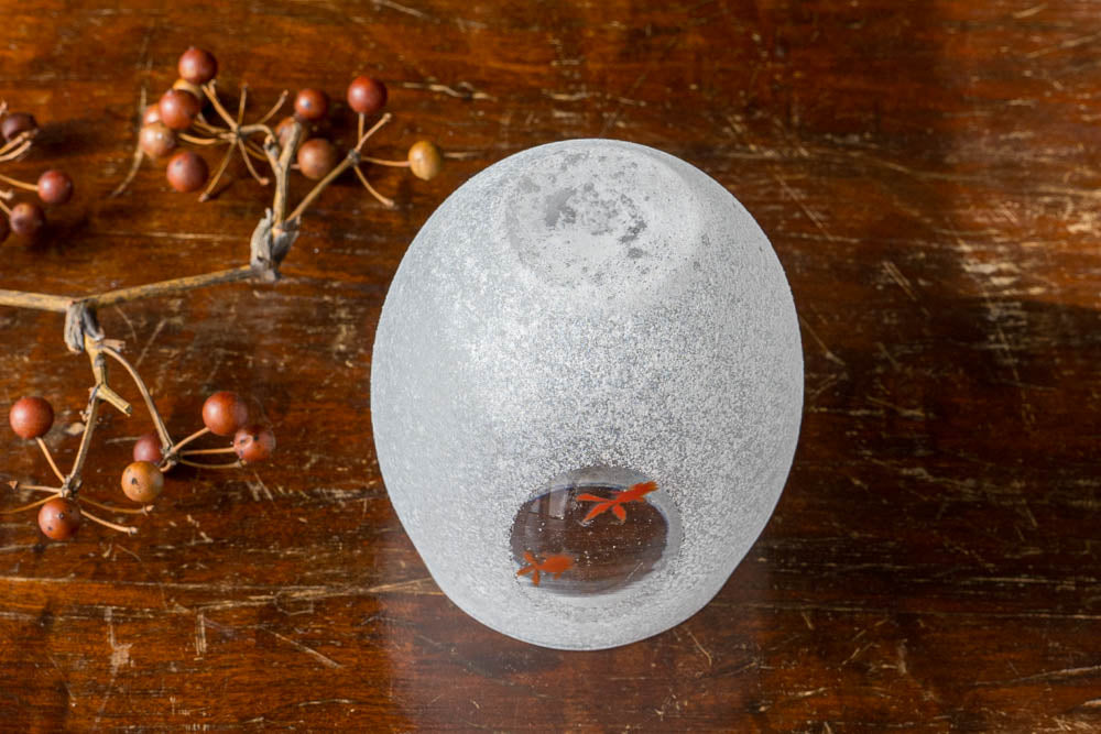 雪の中で泳ぐ金魚グラス