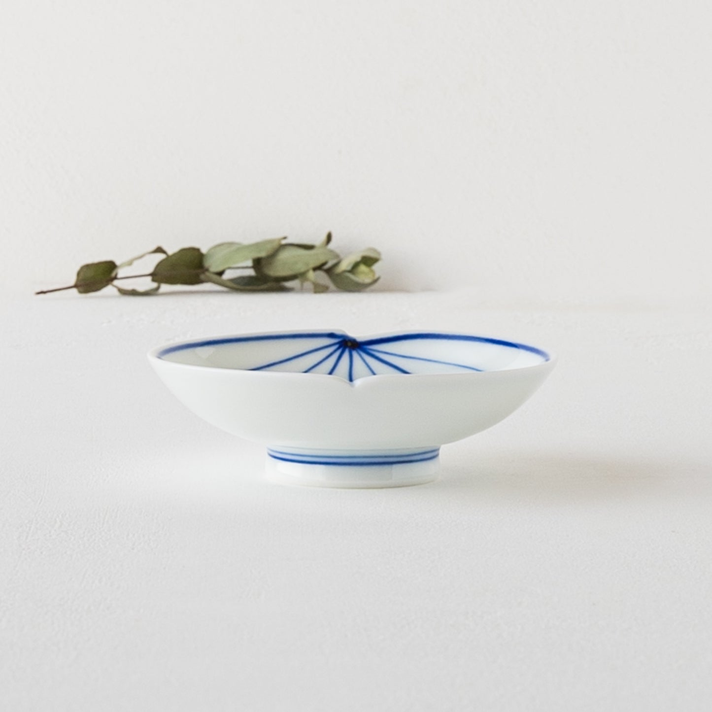 眞窯さんのyoumyaku高台皿3.5